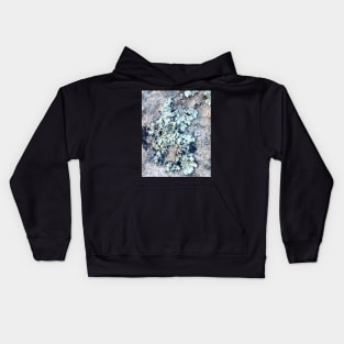 Lichen Kids Hoodie